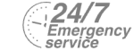 24/7 Emergency Service Pest Control in Perivale, UB6. Call Now! 020 8166 9746