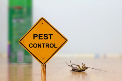 Pest Contol in Perivale, UB6. Call Now 020 8166 9746